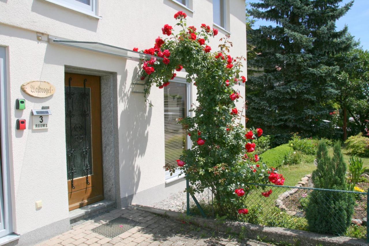 Waldvogel Ferienzimmer Klimatisiert อิมเมนชตาด อัม โบเดนเซ ภายนอก รูปภาพ